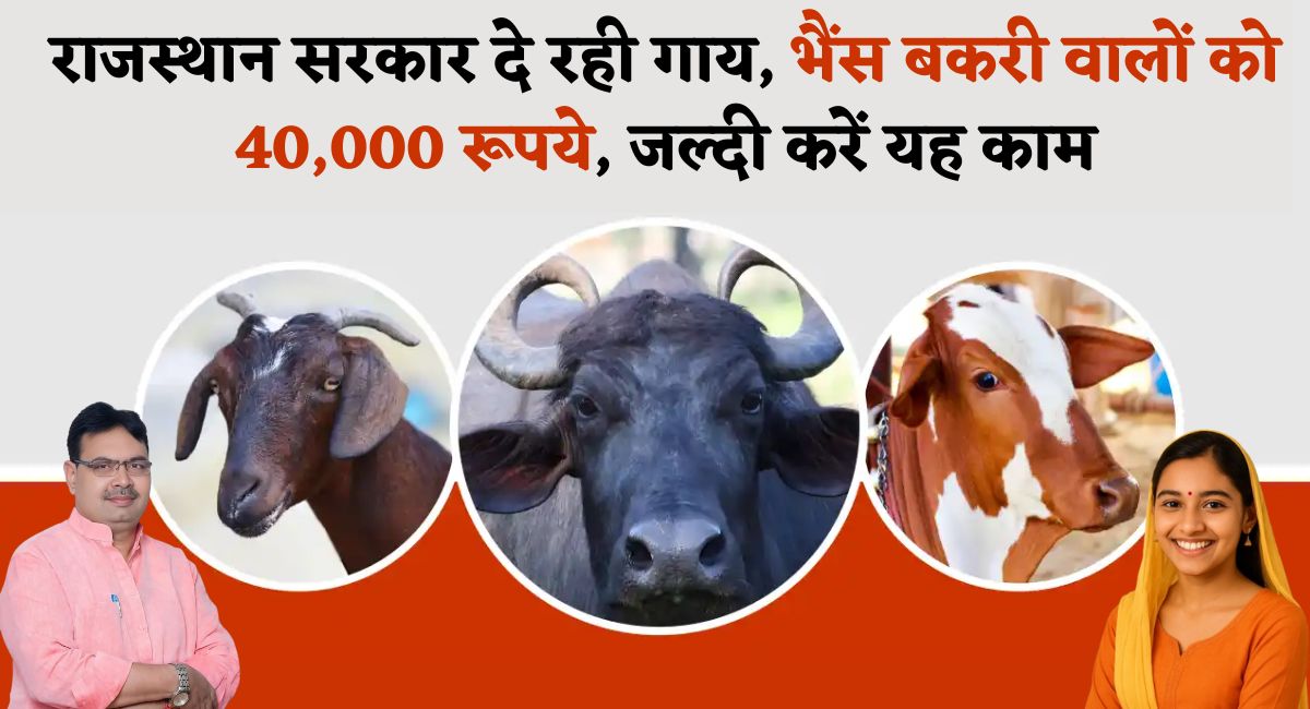 Mangala Pashu Bima start : राजस्थान सरकार दे रही गाय, भैंस बकरी वालों को 40,000 रूपये, जल्दी करें यह काम