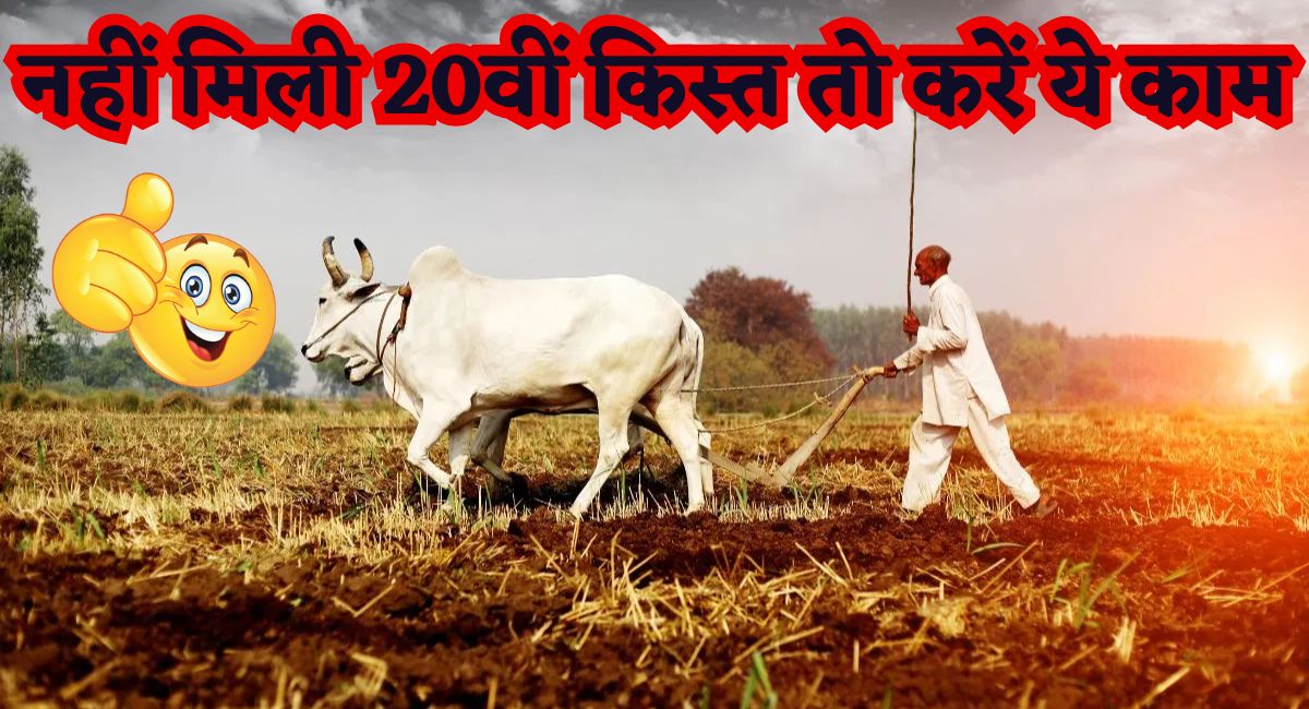 PM Kisan Yojana 20th Installment News :  नहीं मिली 20वीं किस्त तो करें ये काम...