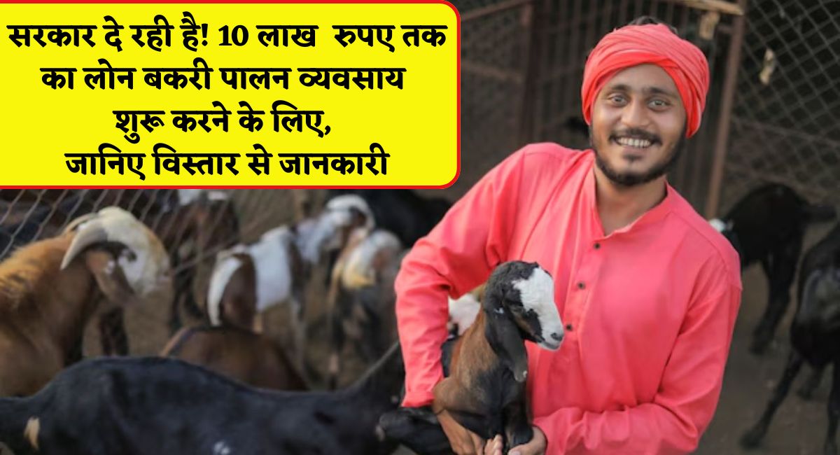 Goat Farming Loan Yojana : सरकार दे रही है 10 लाख रुपए तक का लोन बकरी पालन व्यवसाय शुरू करने के लिए, जानिए विस्तार से जानकारी