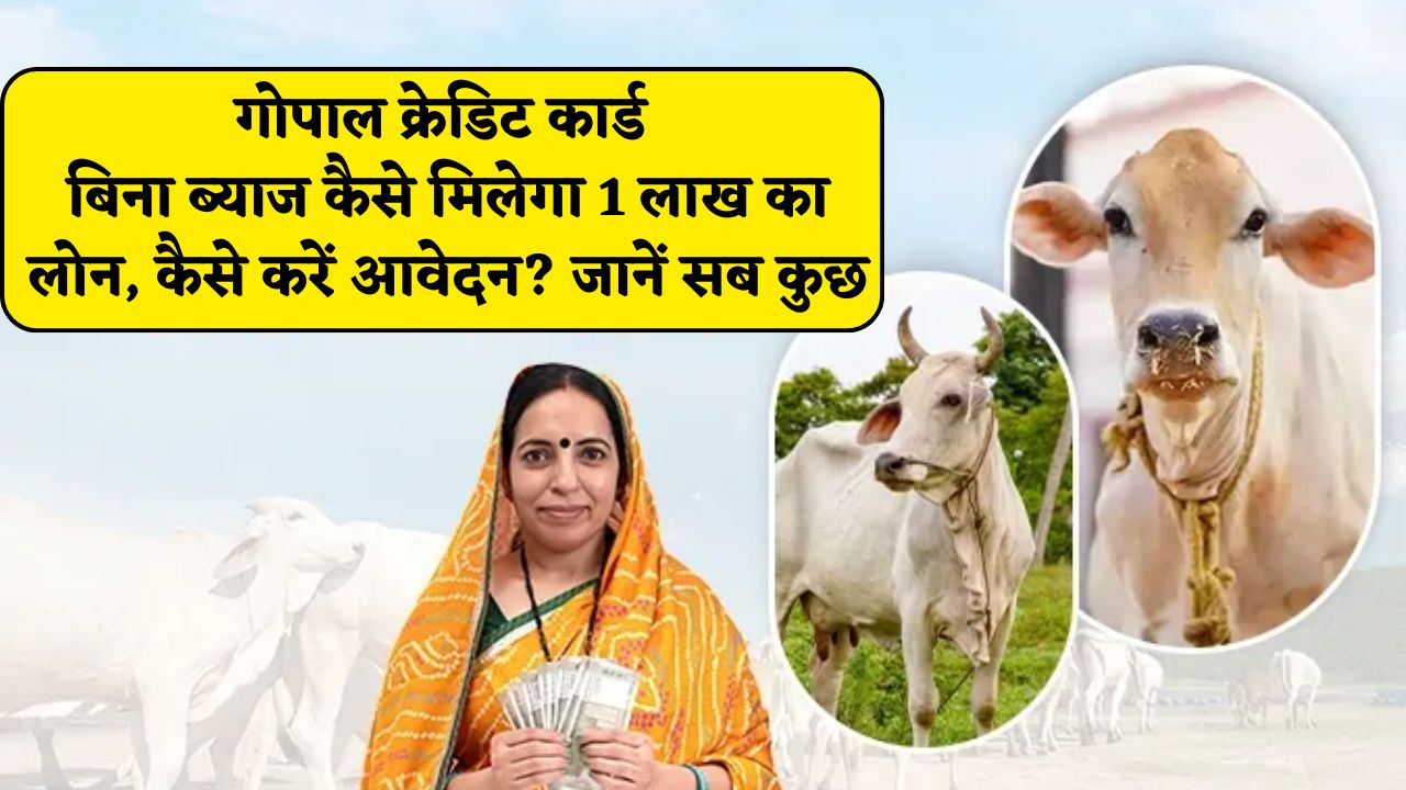 गोपाल क्रेडिट कार्ड : बिना ब्याज कैसे मिलेगा 1 लाख का लोन, कैसे करें आवेदन? जानें सब कुछ