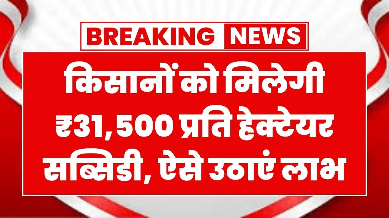किसानों को मिलेगी ₹31,500 प्रति हेक्टेयर सब्सिडी, ऐसे उठाएं लाभ! PKVY Yojana