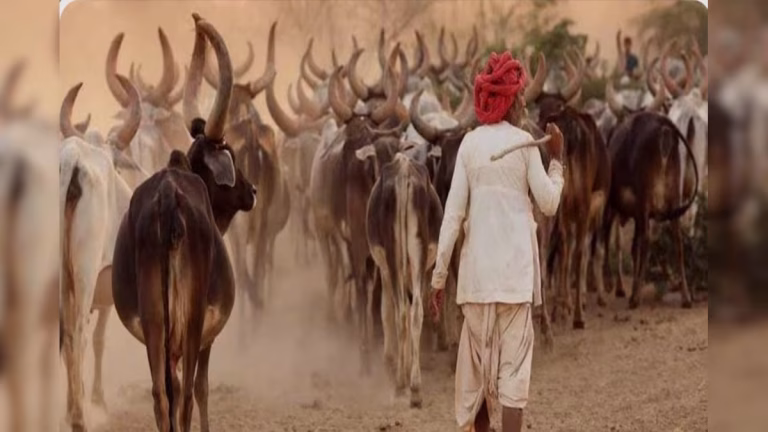 Gaon Gwala Yojana in Rajasthan : राजस्थान में ‘गांव ग्वाला योजना’ शुरू: 70 गायों पर एक ग्वाला, ₹10 हजार रहेगी सैलरी, दान से चलेगी पूरी व्यवस्था