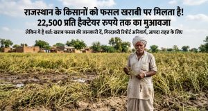 Rajasthan Farmer Scheme : राजस्थान के किसानों को फसल खराबी पर मिलता है! 22,500 प्रति हैक्टेयर रुपये तक का मुआवजा, लेकिन ये है शर्त